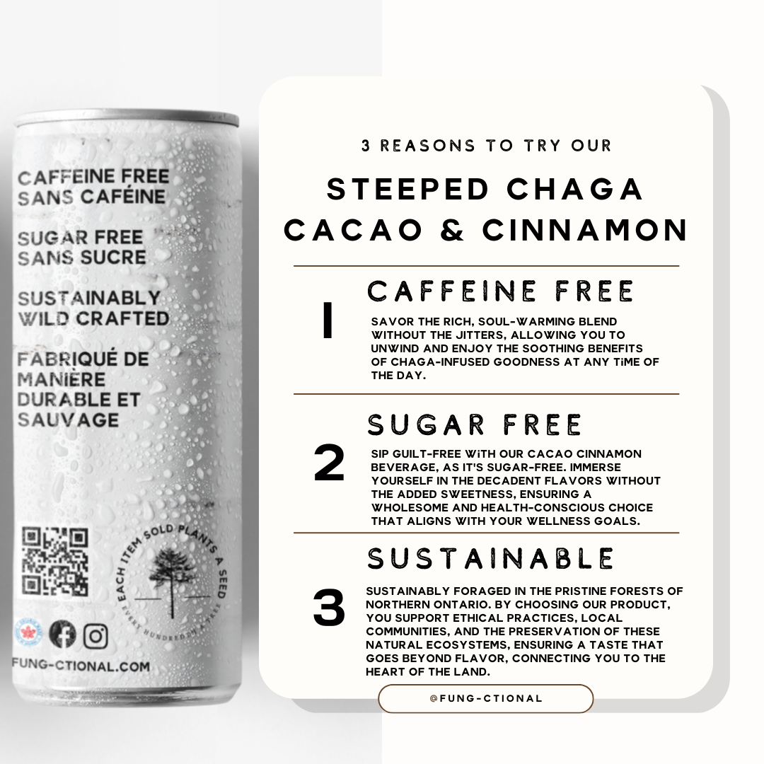 Fung-Ctional Steeped Chaga - Cacao & Cinnamon | 12oz 4 PACK