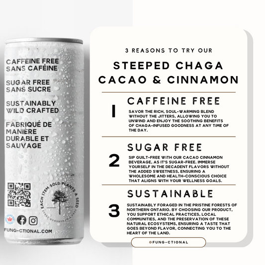 Fung-Ctional Steeped Chaga - Cacao & Cinnamon | 12oz 4 PACK