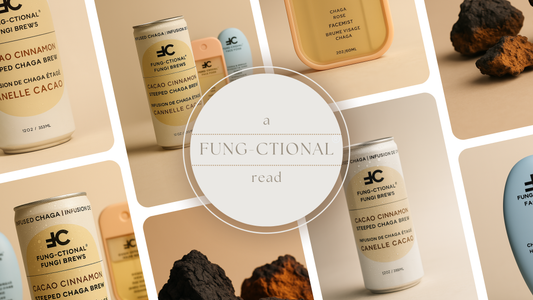 Glow From the Inside Out: A Hydration Moment with Chaga Brew & Face Food