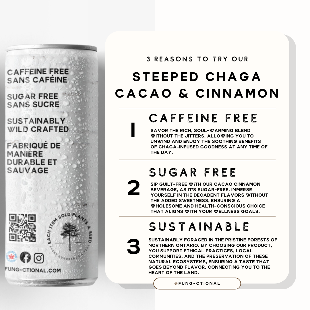 Fung-Ctional Steeped Chaga - Cacao & Cinnamon | 8oz 4 PACK