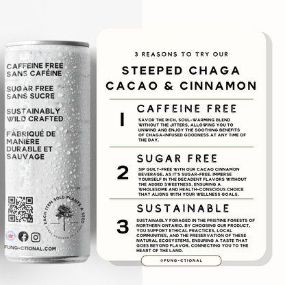 Fung-Ctional Steeped Chaga - Cacao & Cinnamon | 8oz 4 PACK